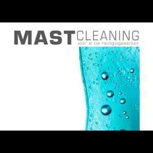 MASTcleaning.jpg