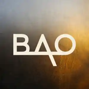 BAO-architecten.jpg