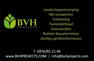 Bvhprojects .jpg