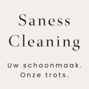 Saness Cleaning.jpg