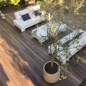 Tuin Solutions .jpg
