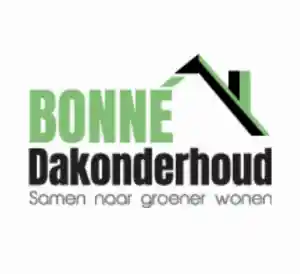 Bonné Dakonderhoud | Antwerpen.jpg