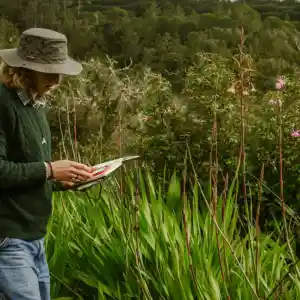 Leaf Line Design.jpg