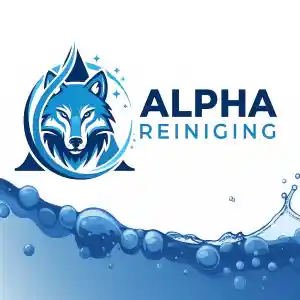 Alpha reiniging.jpg
