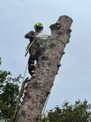 De Pelsmaeker, Kristof.jpg