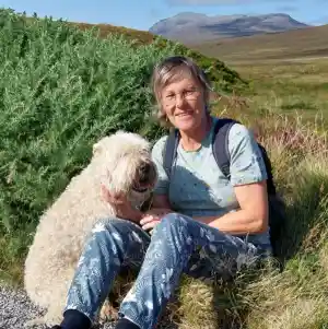 Ardiplan Coaching.jpg