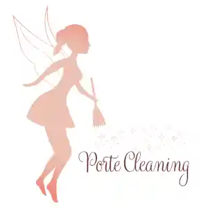 Porte Cleaning.jpg
