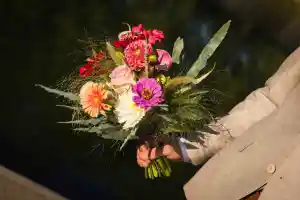 Fotografie Karin De Vocht.jpg