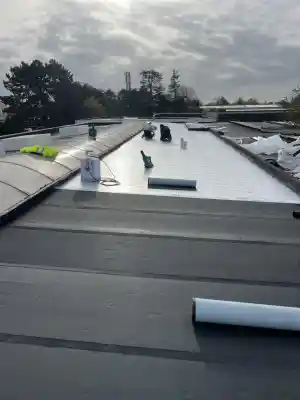Roof Services ND.jpg