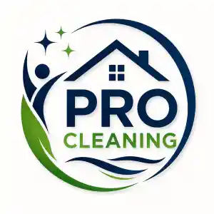 pro cleaning OVL.jpg