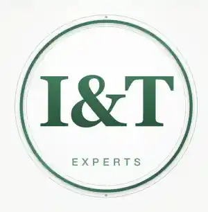 I&T Experts.jpg