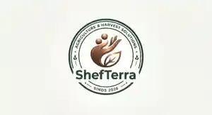 Shefcleaning.jpg