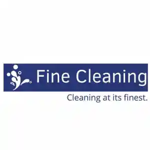 Fine Cleaning.jpg