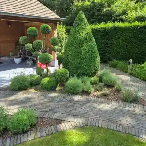 Tuinonderhoud en klussen moors peter.jpg