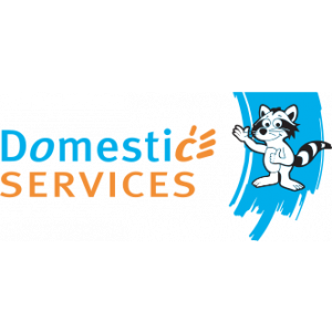 Domestic Services Heist-op-den-Berg, Huishoudhulp met Dienstencheques, Poetsvrouw.jpg