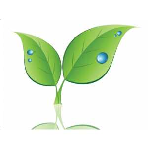 Tuinen 't Waverke (De Gussem Kristof - Tuinaannemer).jpg