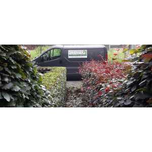 Timmermans Tuinen.jpg