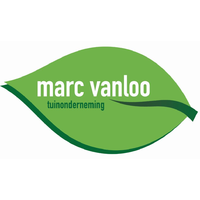 Van Loo / Marc.jpg