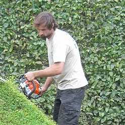 Over the hedge gardening.jpg