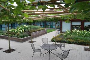 Advance Greencare.jpg