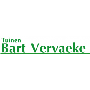 Vervaeke / Bart.jpg