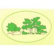 Algemene Tuinwerken Frank Willeghems.jpg