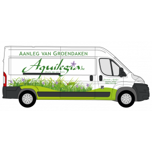 Groendaken Aquilegia.jpg