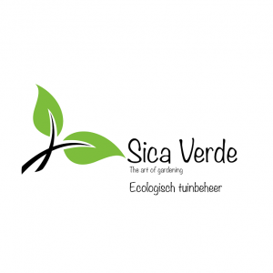 Sica Verde.jpg