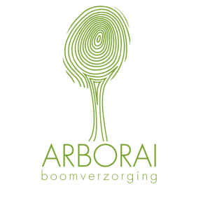 Arborai - Boomverzorging.jpg