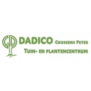Dadico.jpg