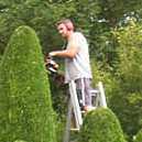 Earthquaque Gardens.jpg