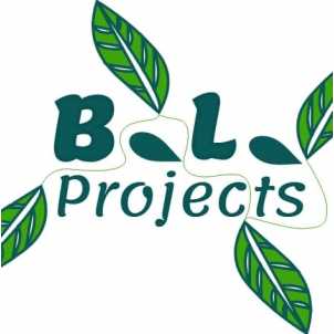B.L. Projects.jpg
