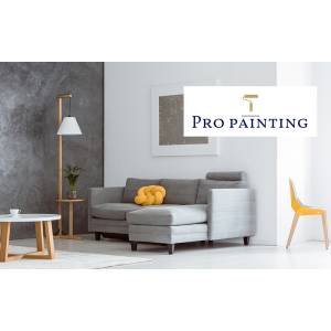 Pro Painting.jpg