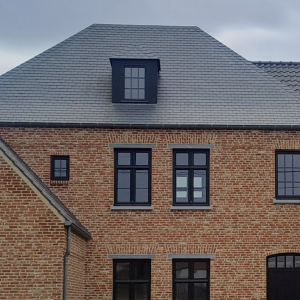 Dakwerken Haesen Rik BV.jpg