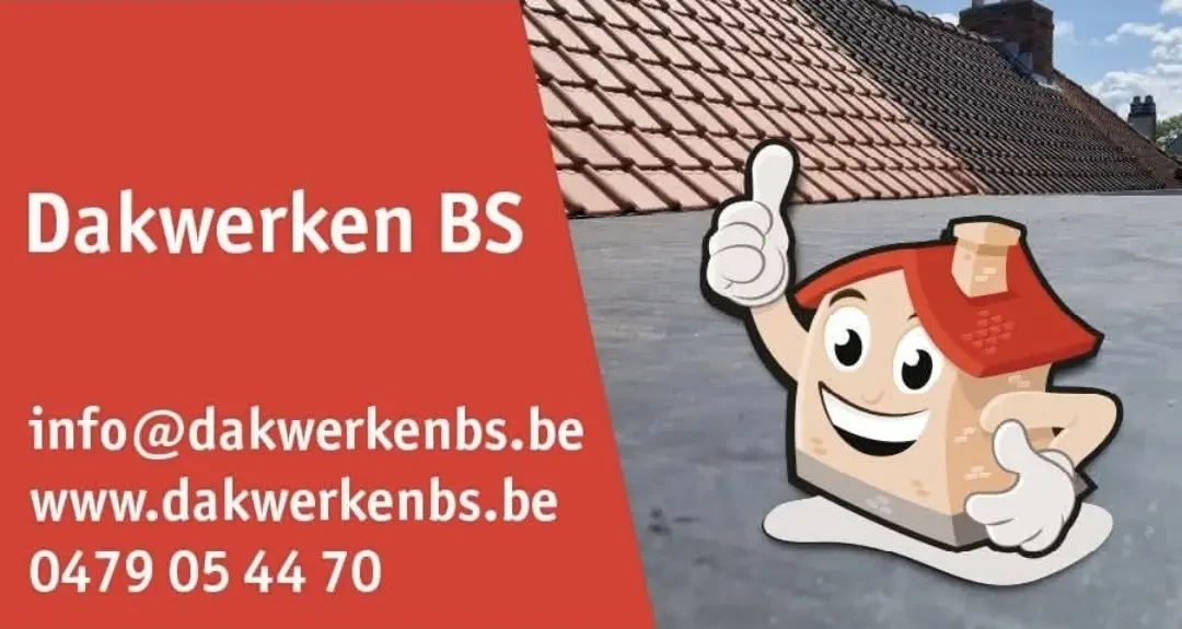 Dakwerken BS .jpg