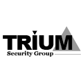 Trium Security nv.jpg