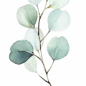 Blemberg Rouwcentrum bvba.jpg