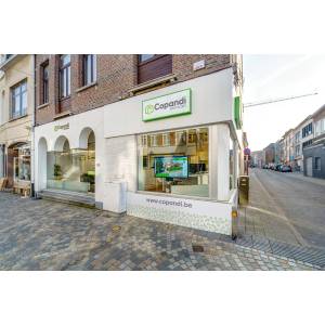 Copandi Vastgoed - immo Mechelen.jpg