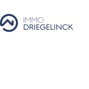 Immo Driegelinck.jpg