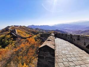 Ying Ying Travel BV.jpg