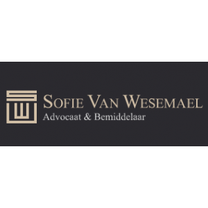 Advocaat-bemiddelaar Van Wesemael - het scheidingshuis.jpg