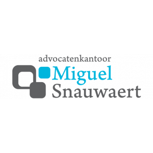 Advocatenkantoor Miguel Snauwaert.jpg