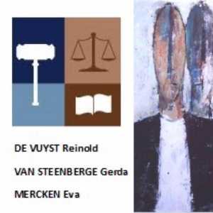 Advocaat Reinold De Vuyst.jpg