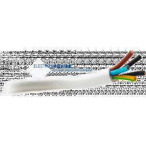 Electro Van Damme.jpg