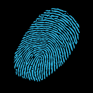 Crea Domotics Bvba.jpg