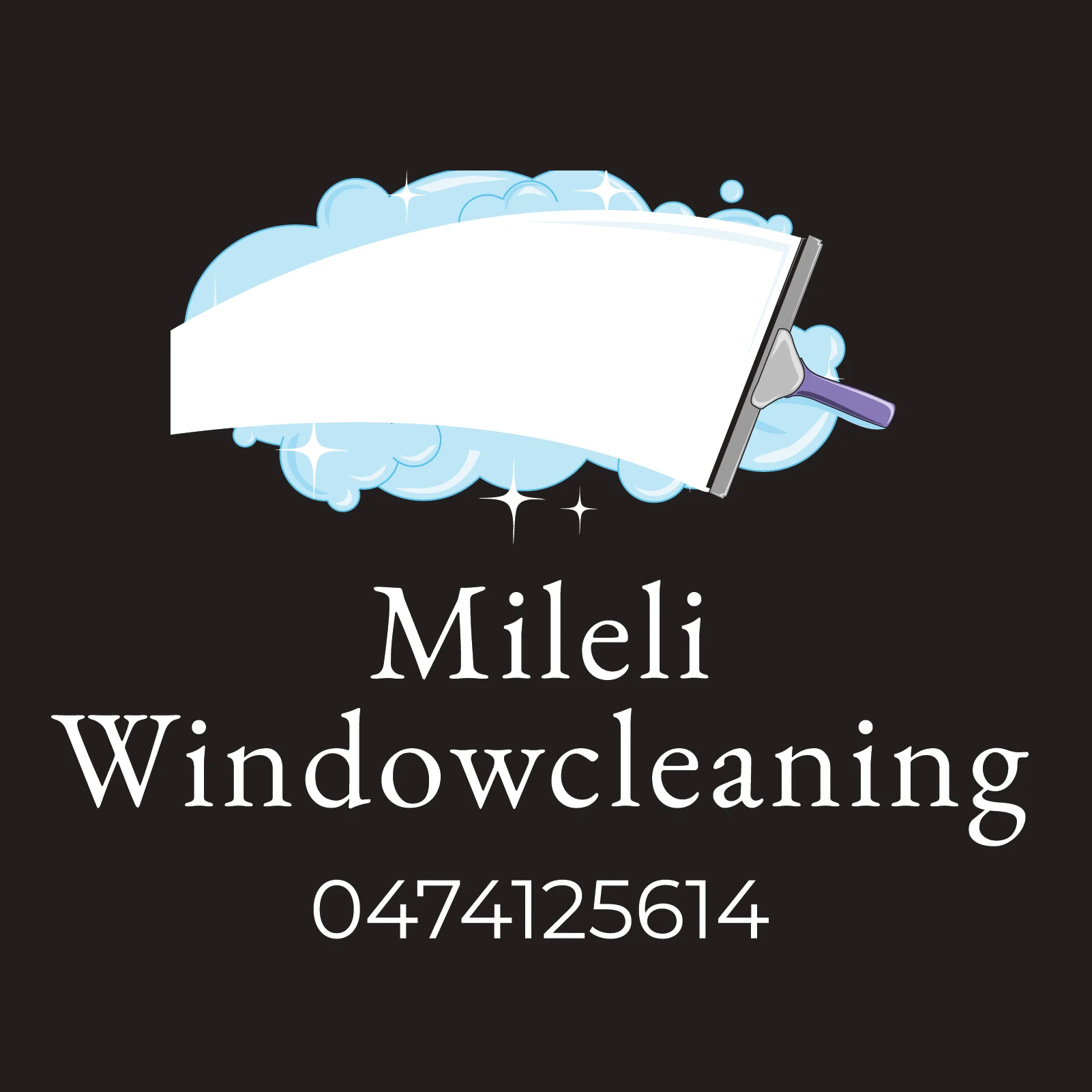 Mileli Windowcleaning.jpg