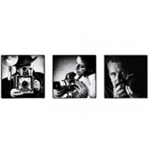 Masselis Fotografie bvba.jpg