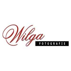 Foto Wilga.jpg