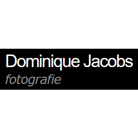 Jacobs Dominique, Optique & photographie.jpg