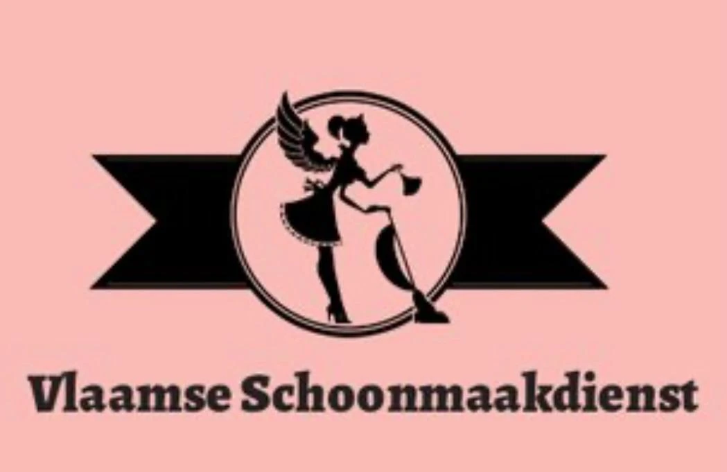 De Vlaamse Schoonmaakdienst.jpg